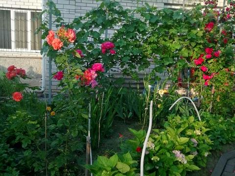 будинок за адресою Першотравнева вул.