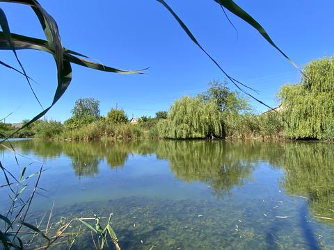 будинок за адресою Врожайна вул.