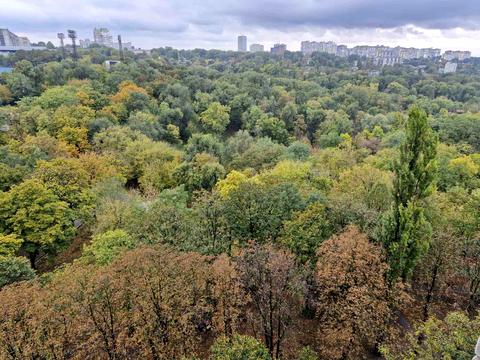 квартира за адресою Олександра Поля просп. (Кірова), 102-Д