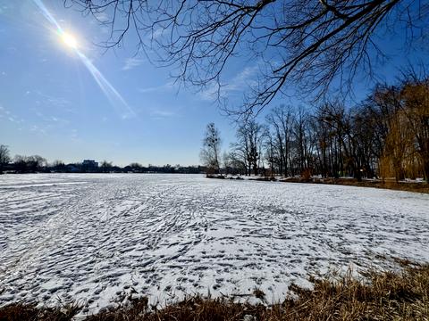 участок по адресу Городня