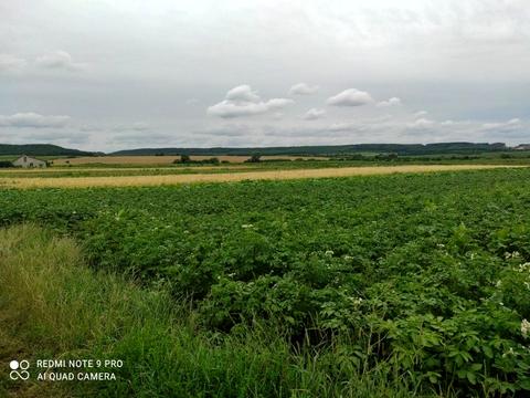 участок по адресу Незалежності