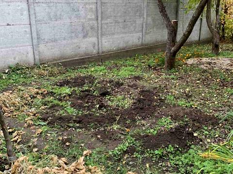 дом по адресу Дача Восход