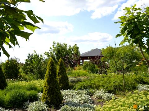 ділянка за адресою Центральна вул., 72