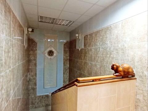 коммерческая по адресу Свободи ул., 19