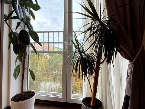 квартира за адресою Регенераторна вул., 4