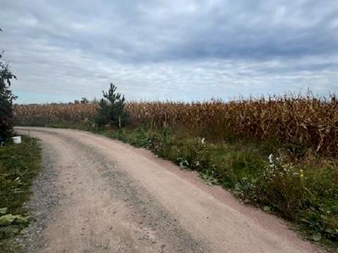 ділянка за адресою 