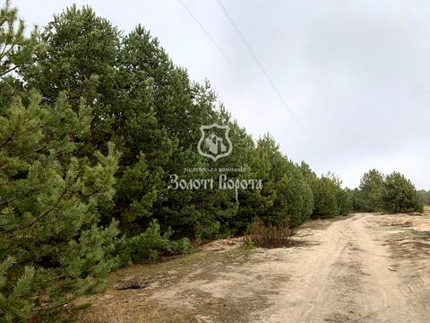 участок по адресу Ірпінська вул., 2