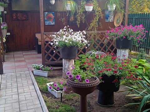 дом по адресу с. Крыжановка, Ярошевской ул., 59