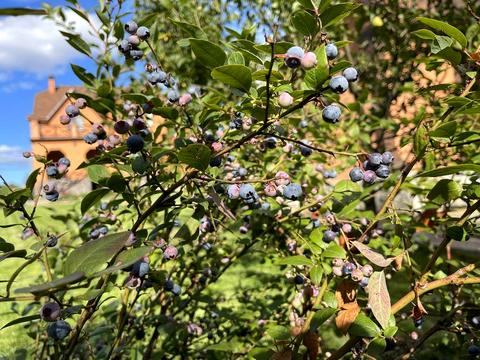 будинок за адресою Повітрофлотська вул.