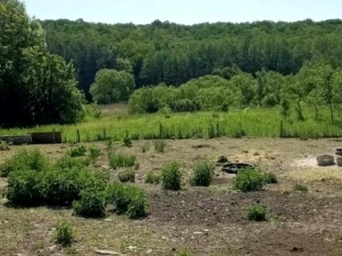 ділянка за адресою с. Комарів, 