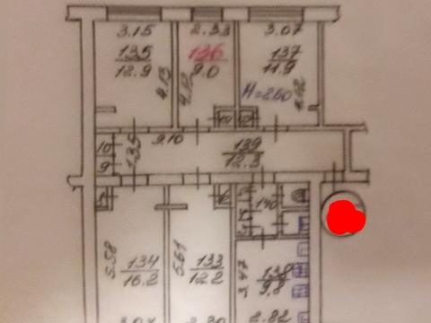 комната по адресу Александровский просп. (Косиора), 142
