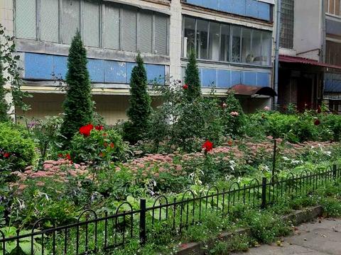 квартира по адресу Виставкова ул. (Полковника Потехина), 5