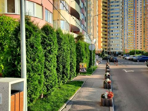 квартира по адресу Семьи Кульженков ул. (Дегтяренко Петра), 31-А