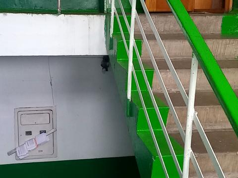 квартира по адресу Лесі Українки, 1
