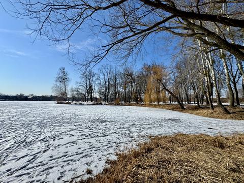 участок по адресу Городня