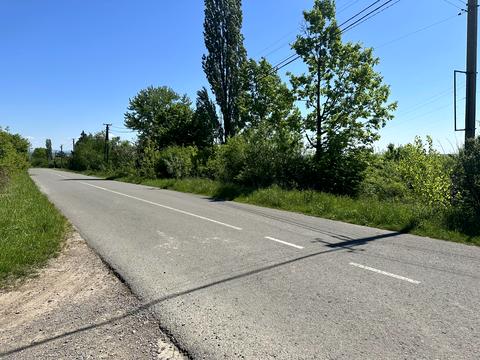 ділянка за адресою Рибна