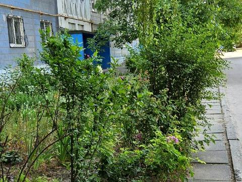 квартира по адресу Рубана ул., 21