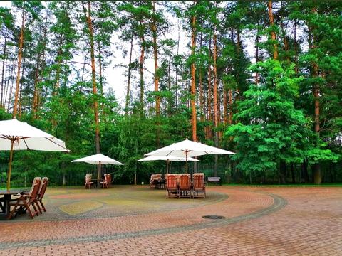 ділянка за адресою с. Проців, Савонівська вул.
