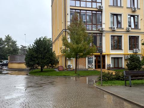 коммерческая по адресу Дача Ковалевского ул., 121 к1