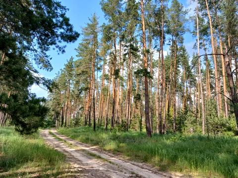 участок по адресу Ватутина ул.