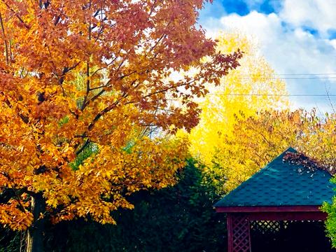 дом по адресу Луговая ул., 95