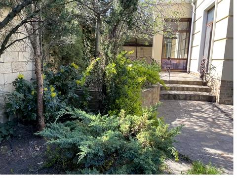 будинок за адресою Василя Сліпака вул. (Єрмолової), 1
