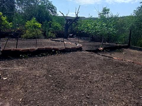 будинок за адресою Сил Спеціальних Операцій вул. (Мерецкова)