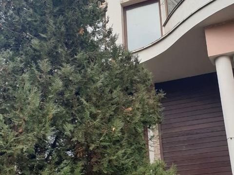 коммерческая по адресу Люстдорфская дорога ул., 151