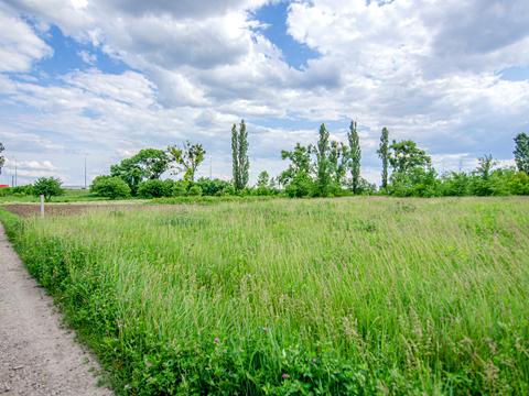 участок по адресу с. Супруновка, Центральна, 1