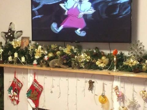 квартира за адресою Милославська вул., 32/51а