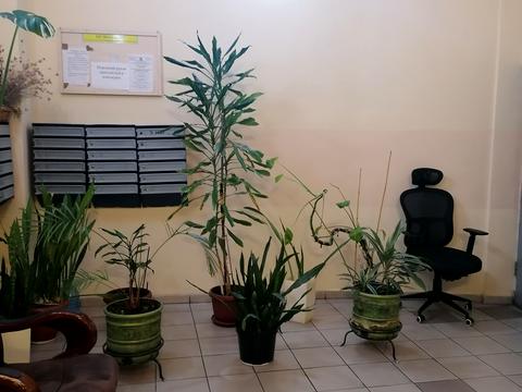 квартира за адресою Митрополита Андрея Шептицького вул. (Анатолія Луначарського), 10