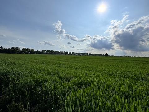 ділянка за адресою 
