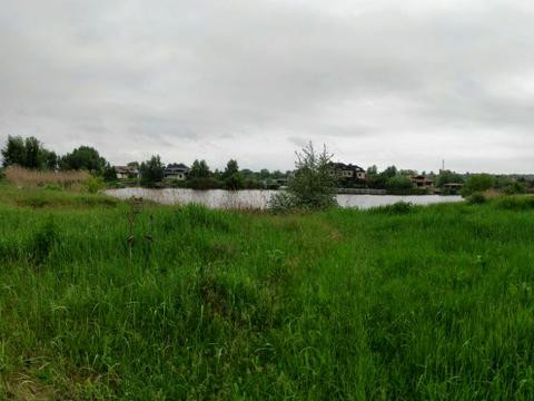 участок по адресу Вишнева