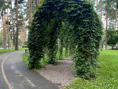 квартира по адресу Лесная ул., 4ж
