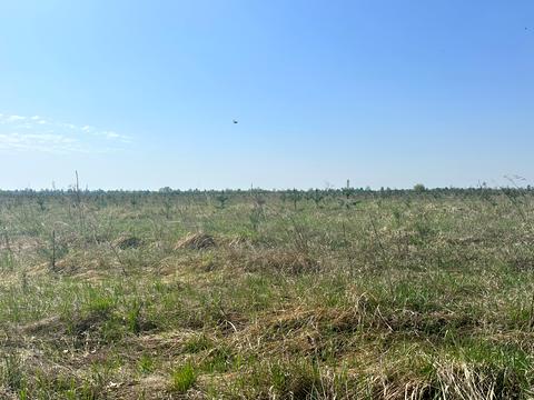 участок по адресу 