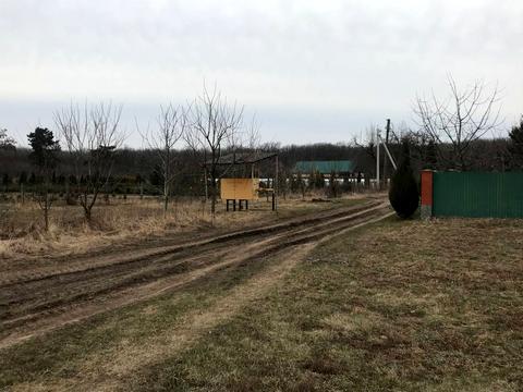 участок по адресу с. Рассошенцы, Лісова