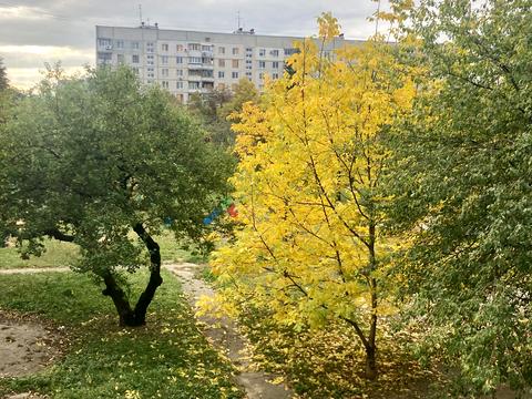 квартира за адресою Поздовжня вул., 1
