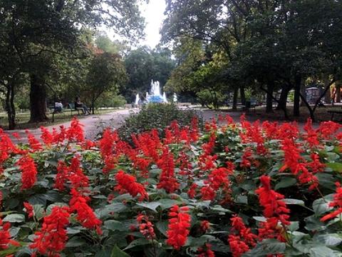 квартира по адресу Фонтанская дорога ул., 4