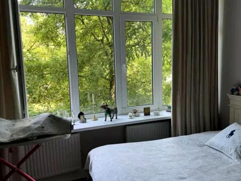 квартира по адресу Аркадиевский пер., 9/1