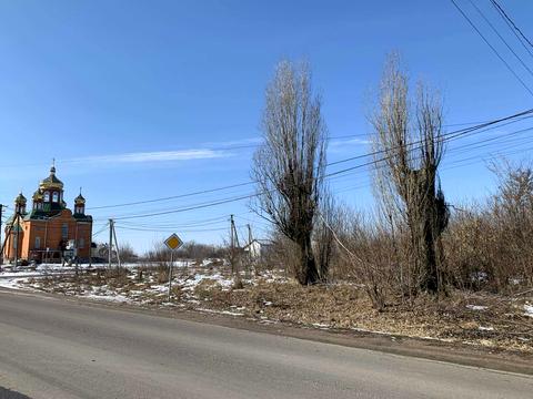 ділянка за адресою Центральна