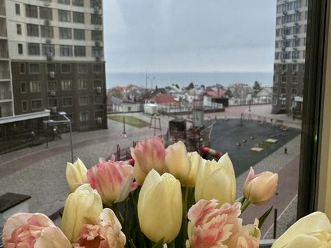 квартира по адресу Одесса, Каманина ул. (Каманина), 16а