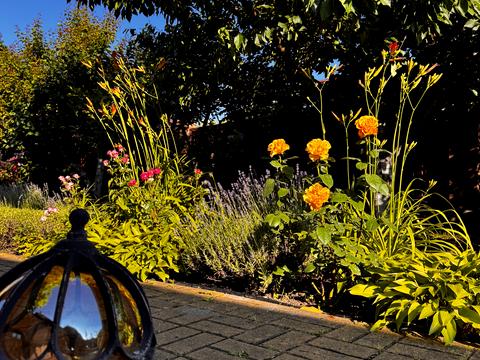 будинок за адресою с. Плюти, Абрикосова, 9