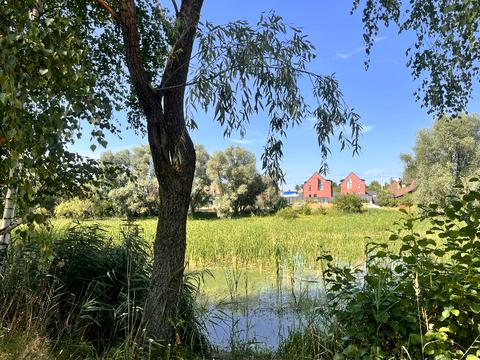 ділянка за адресою Богдана Хмельницкого вул., 72