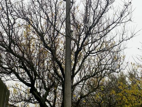 ділянка за адресою Солнечный переулок 