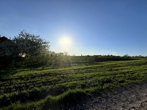 ділянка за адресою Шкільна