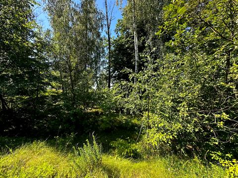 участок по адресу 