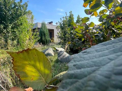 ділянка за адресою Сонячна, 1