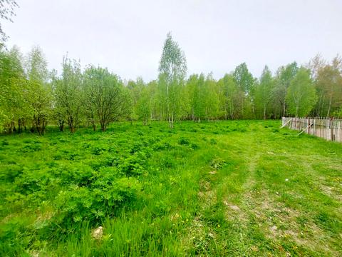 участок по адресу Левківська