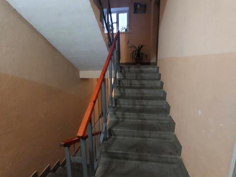 квартира по адресу Архитектора Старова ул., 14а