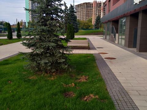 квартира за адресою Віктора Некрасова вул. (Північно-Сирецька), 8